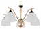 Подвесная люстра Escada Actinidia 2123/5P esc_2123_5p