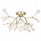 Потолочная люстра Freya Florencia FR5049CL-27G MY_FR5049CL-27G