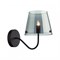 Бра Lumion Smoky 6570/1W lmn_6570_1w