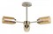 Люстра на штанге Lumion Dallin 5639/3C lmn_5639_3c