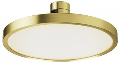 Накладной светильник Maytoni Plato TR153-1-10W4K-BS MY_TR153-1-10W4K-BS