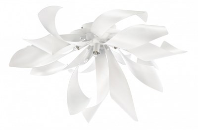 Накладной светильник Lightstar Turbio 754166 LS_754166 - фото 865000