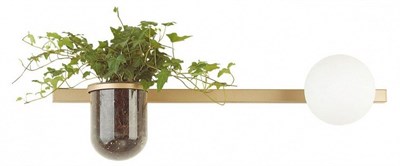 Бра Odeon Light Flower 4682/1WA OD_4682_1WA