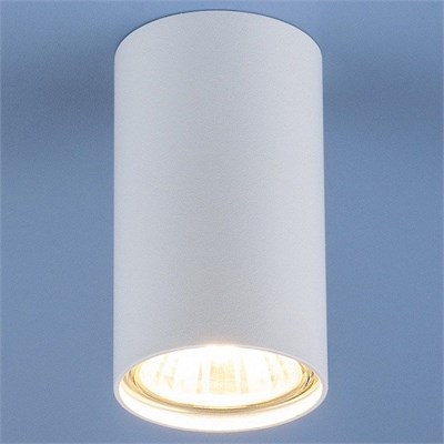 Накладной светильник Elektrostandard 1081 a037712 ELK_a037712