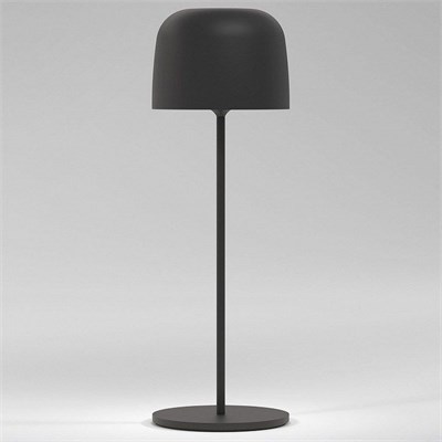 Настольная лампа декоративная Elektrostandard Bitty a069002 ELK_a069002