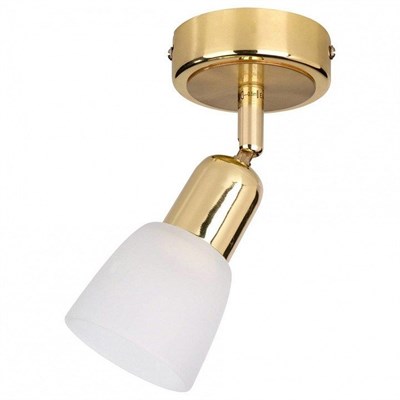 Спот Escada Fabius 5039/1PA esc_5039_1pa