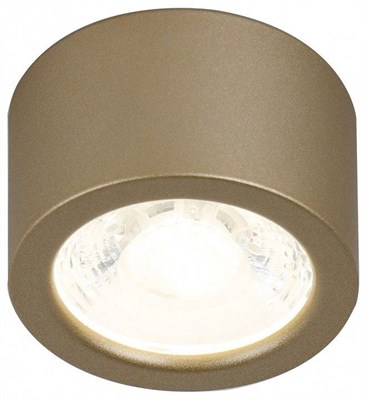 Накладной светильник Favourite Deorsum 2807-1U FV_2807-1U