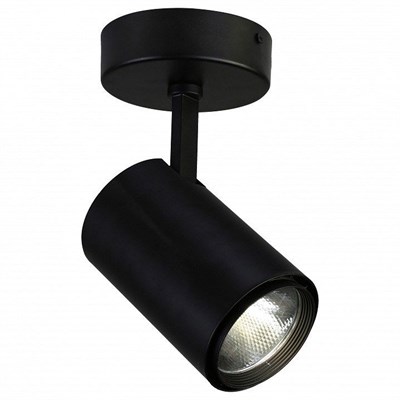 Светильник на штанге Favourite Projector 1772-1U fv_1772-1u