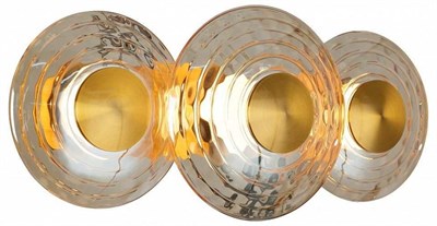 Накладной светильник Favourite Claros 4641-3W FV_4641-3W