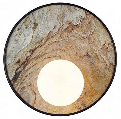 Накладной светильник Favourite Messier 4594-1W FV_4594-1W