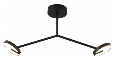 Светильник на штанге Favourite Paritet 4401-2C FV_4401-2C