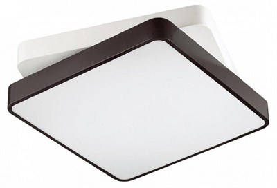 Накладной светильник Lumion Agatha 4511/72CL lmn_4511_72cl