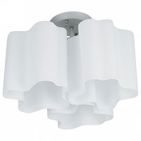 Потолочная люстра Lightstar Nubi 802030 LS_802030