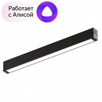 Накладной светильник Denkirs DK8004 DK8004-BK dk_dk8004-bk
