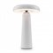 Настольная лампа декоративная Freya Mushroom FR6109TL-L4W MY_FR6109TL-L4W